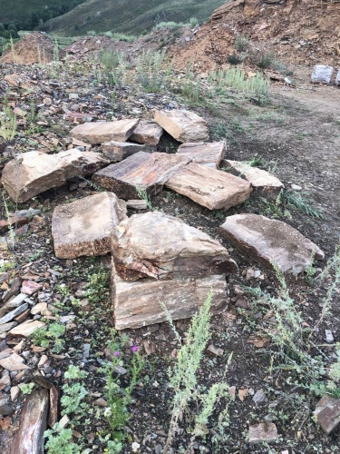 Плитняк кора дерева 50-100мм для пошаговых дорожек купить в Лениногорске